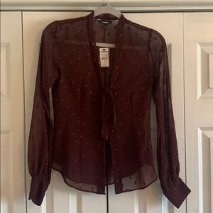 Express Sheer blouse